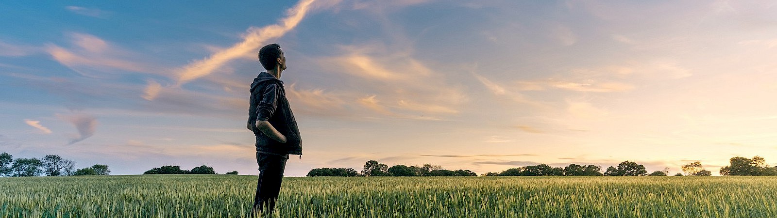 Цели и программы