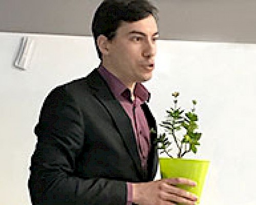 Мастера мечты